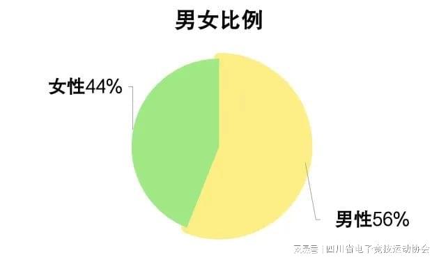 问鼎娱乐2024四川省电子竞技产业报告(图7)