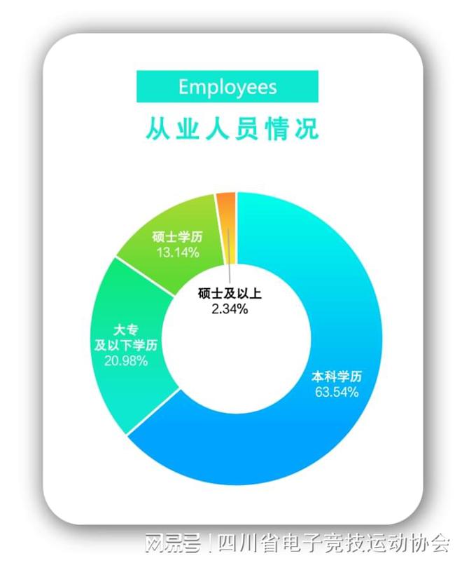 问鼎娱乐2024四川省电子竞技产业报告(图10)