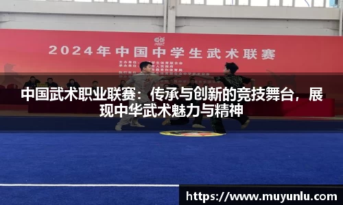 中国武术职业联赛：传承与创新的竞技舞台，展现中华武术魅力与精神